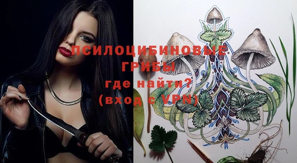 a pvp Абаза