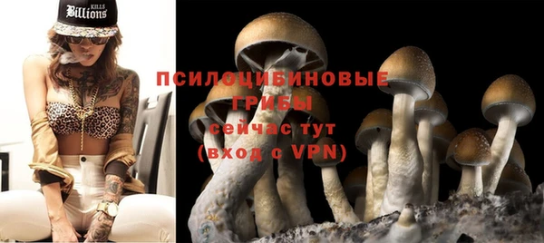 мяу мяу мука Абдулино