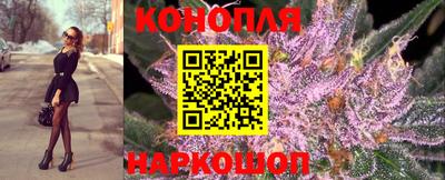 индика Заводоуковск