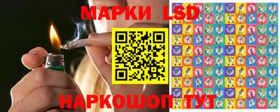 индика Заводоуковск