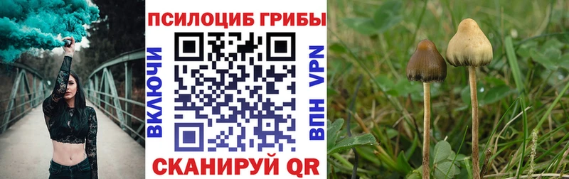 где продают наркотики  Югорск  Галлюциногенные грибы мицелий 