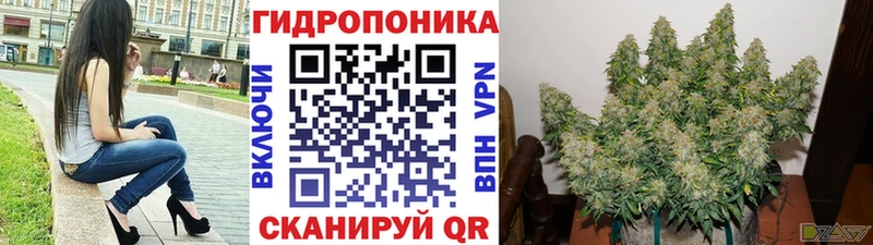 Конопля Bruce Banner  хочу   Югорск 